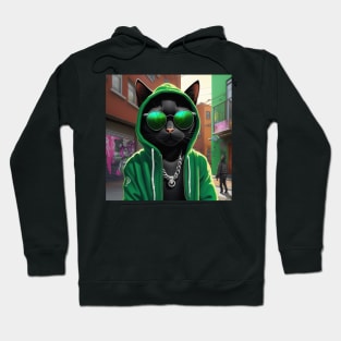 A black cat as a rap hiphop artist  in the alleyways of his home town. Hoodie